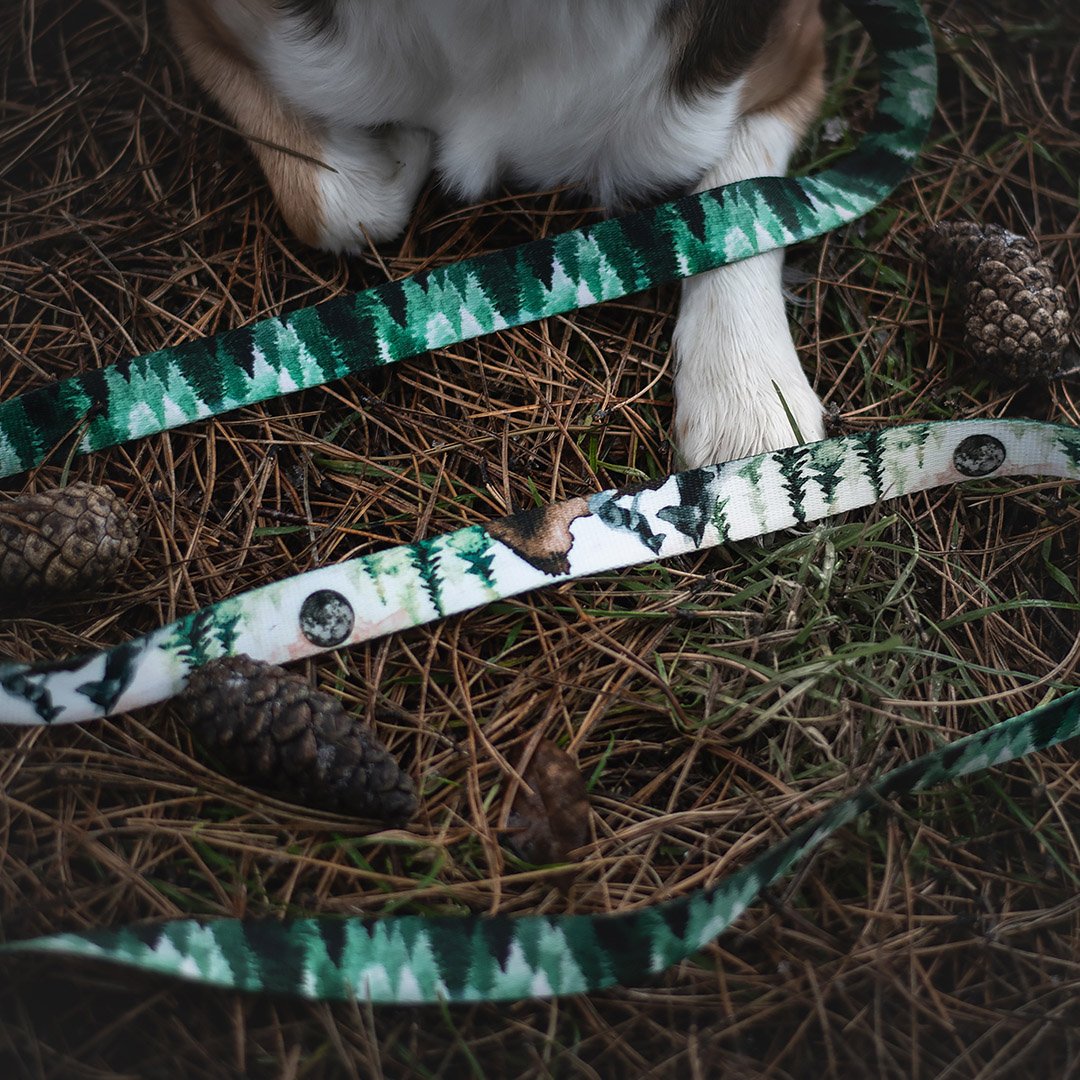 /p/obroza-z-klamra-choinki