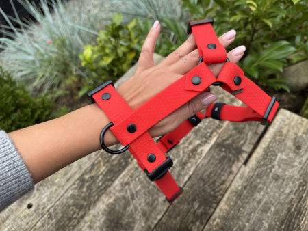 Szelki guard L 25 mm