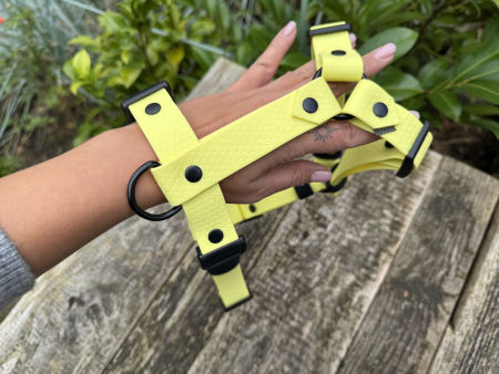 Szelki guard S 25 mm