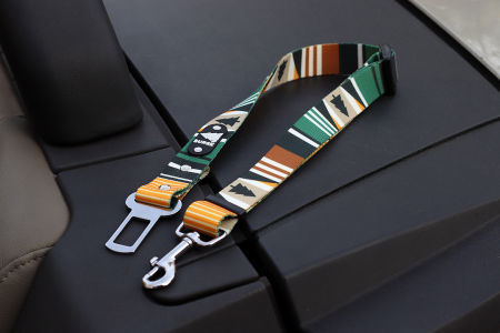 Pas samochodowy PASKI