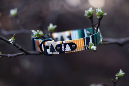 Obroża z klamrą PASKI