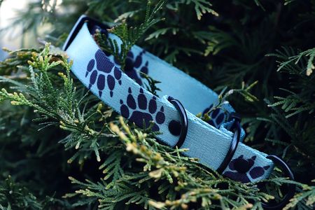 Obroża półzaciskowa ŁAPY