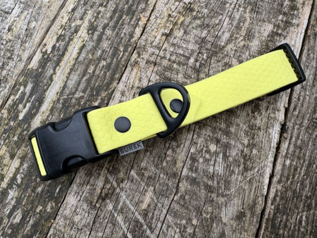 Obroża z klamrą M 25 mm