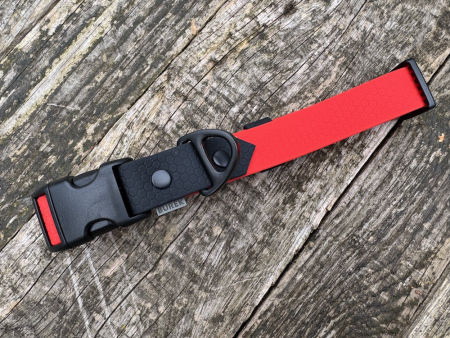 Obroża z klamrą L 25 mm