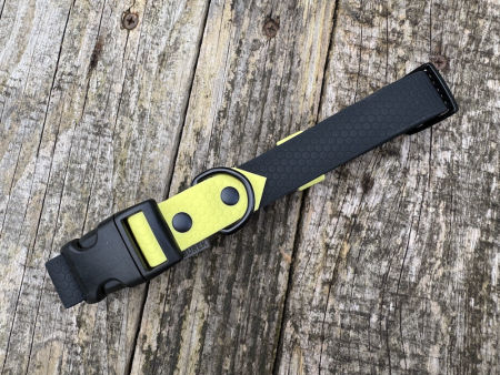 Obroża z klamrą L 25 mm