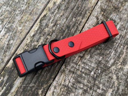 Obroża z klamrą S 25 mm