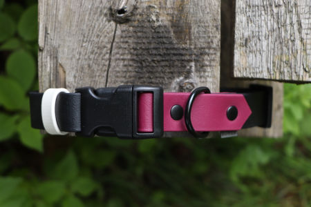 Obroża z klamrą Kolor mix L