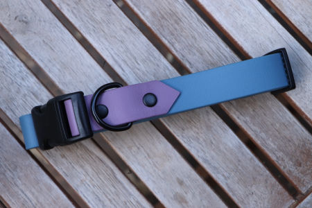 Obroża z klamrą Kolor mix M