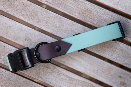 Obroża z klamrą Kolor mix M