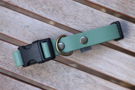 Obroża z klamrą Paprotka S