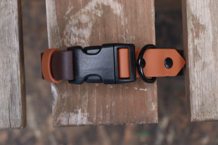 Obroża z klamrą Kolor mix L