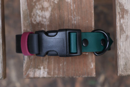 Obroża z klamrą Kolor mix L