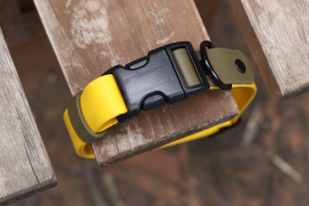 Obroża z klamrą Kolor mix L